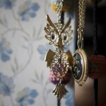 IMG_0410 IMG_0410