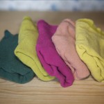 IMG_0449 IMG_0449