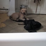 IMG_2045 IMG_2045