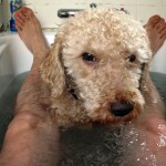 IMG_2086 IMG_2086