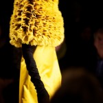 IMG_7338 IMG_7338