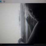 IMG_0633 IMG_0633